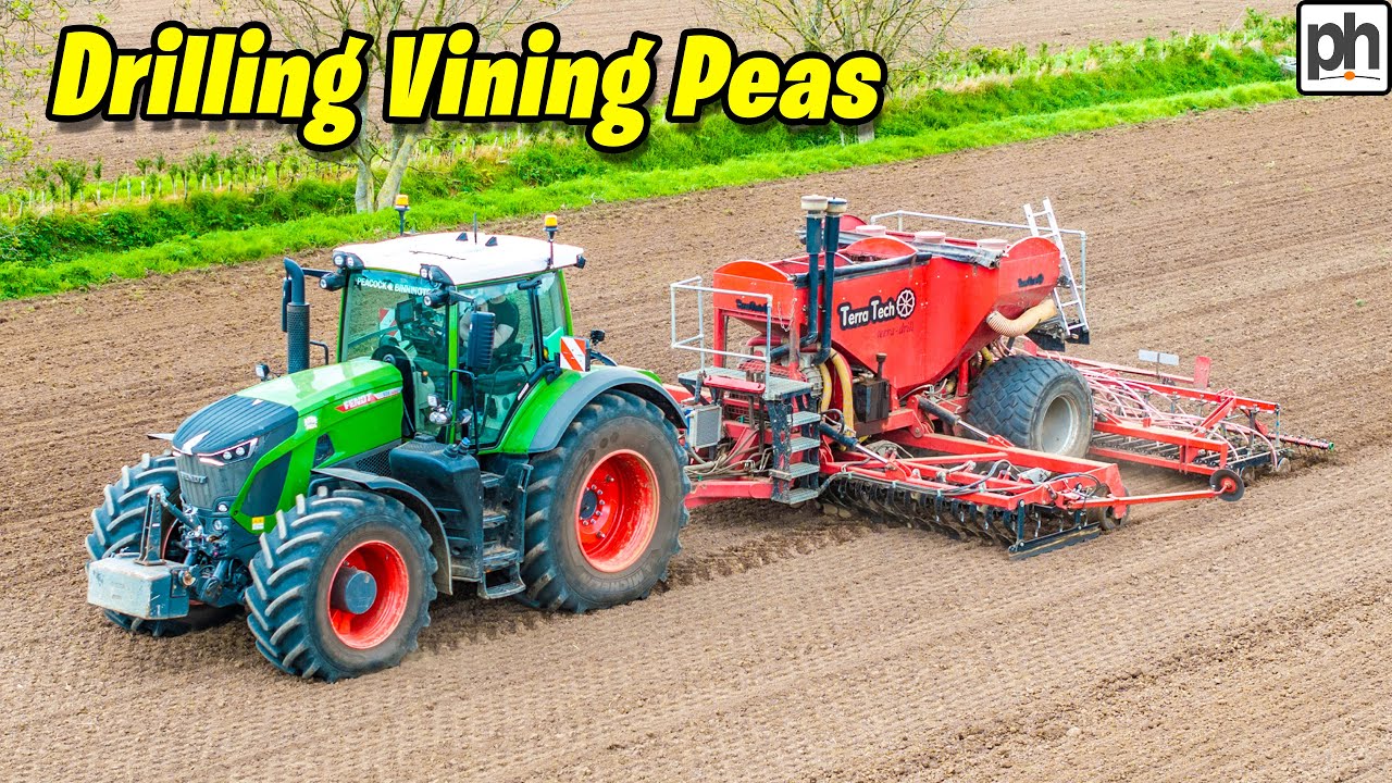 DRILLING VINING PEAS #farmingvideos - YouTube