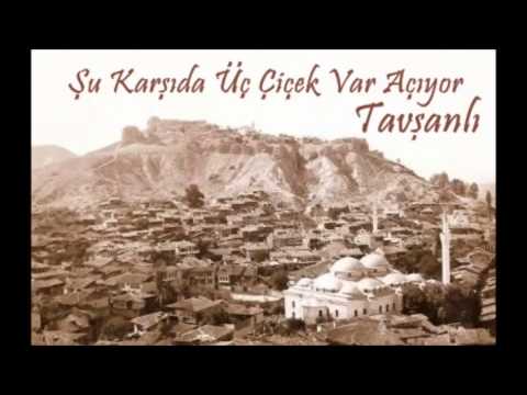 Şu Karşıda Üç Çiçek Var Açıyor KÜTAHYA/TAVŞANLI