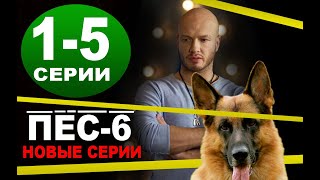 Пес 6 Новый Сезон 2022 Года