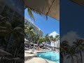 The view in Miami is beautiful ✨💜 #automobile #musicbusiness #poolparty #lifeisbutadream