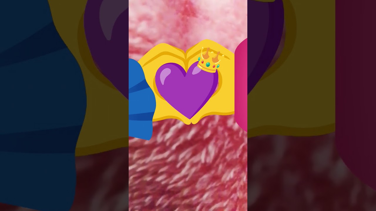 31 de diciembre de 2025