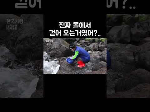돌김이 돌김인 이유 #shorts