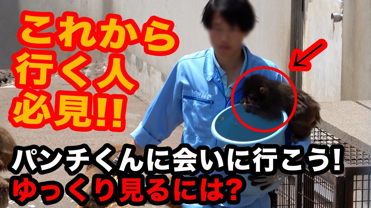 A little secret revealed] Before you see Punch clinging to his