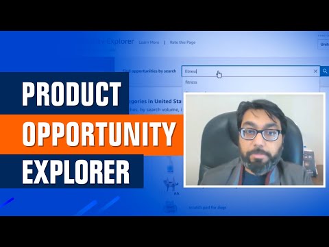 Product Opportunity Explorer 