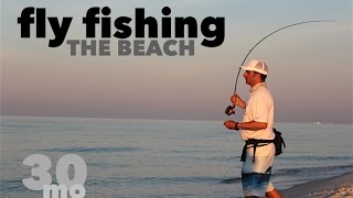 Fly Fishing the Beach | Jack Crevalle & Ladyfish | Fort Pickens State Park Florida