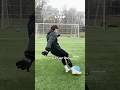 It’s about the technique .. #football #footballskillschallenge #footy #soccer #localfooty
