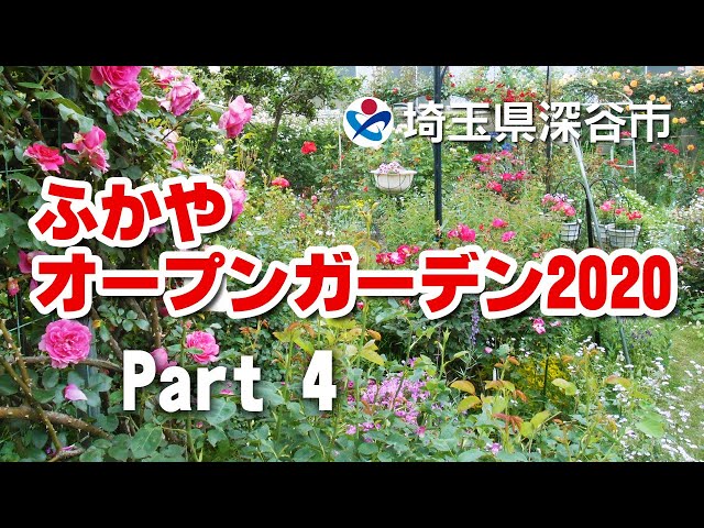 ふかやオープンガーデン Part4 埼玉県深谷市のオープンガーデンをご紹介 深活 Fukkatsu