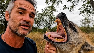 BITING Hyenas | The Lion Whisperer