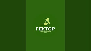 видео: Гектор-зооволонтеры  в прямом эфире! картинка: Гектор-зооволонтеры  в прямом эфире!