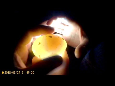 Дела текущие. Двор. Ворота. Инкубатор. Стряпаем пирог.