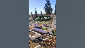 ألهاكم التكاثر سورة التكاثر ❤️❤️❤️☝️ #القرآن_الكريم #quran #المصحف #اكسبلور #لايك #tiktok #duet