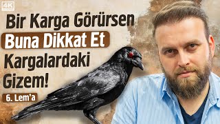 Bir Karga Görürsen Buna Dikkat Et Kargalardaki Gizem! - 6. Lema | Fatih Ünal