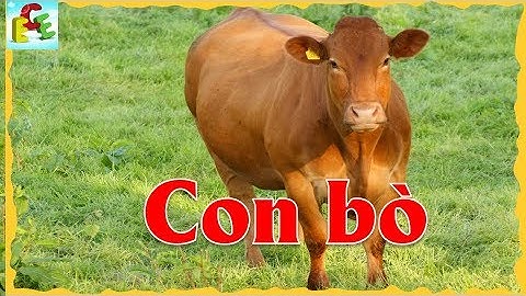 Dạy bé học các con vật bằng tiếng Việt theo phương pháp Glenn Doman | Giáo dục trẻ em ECE