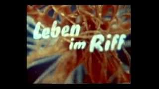 Rupert Riedl - Leben im Riff (1951)