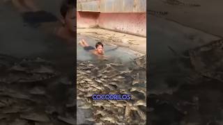 Este niño que nadó con cocodrilos, comprobó por qué los hombres viven menos #short