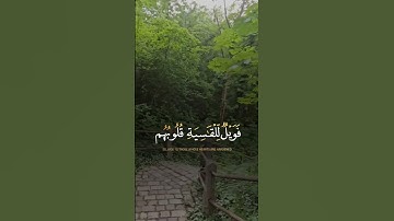 تلاوة خاشعة جميله بصوت ياسر الدوسري ارح سمعك ❤ #ياسر_الدوسري #اكسبلور
