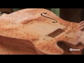 Build a Thinline Guitar