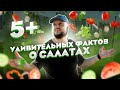 Пять+ УДИВИТЕЛЬНЫХ фактов о салатах!