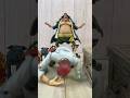 シャンクスの顔の傷が気になるルフィ【ワンピース】【フィギュアーツ】