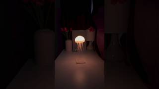 Aesthetic finds Viral jelly fish lamp🔥