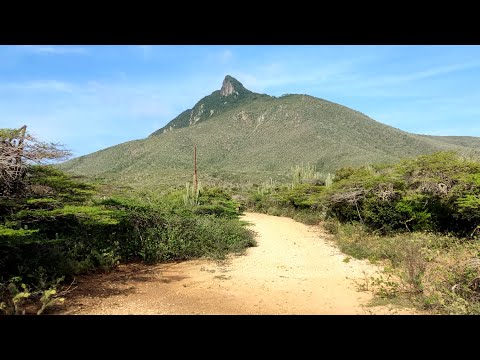 Ascenso al Cerro Santa Ana ⛰️ - Paraguaná - Venezuela
