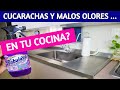 🔝 13 ERRORES y 13 soluciones para una  COCINA, sin CUCARACHAS y MALOS OLORES