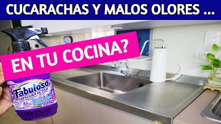 🔝 13 ERRORES y 13 soluciones para una  COCINA, sin CUCARACHAS y MALOS OLORES