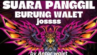 Suara walet original || kombinasi joss dan mantap