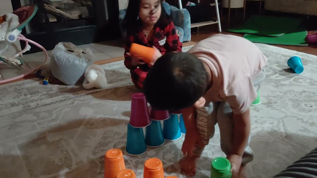 Bhai destroying didi work. Rachu and Rivaan