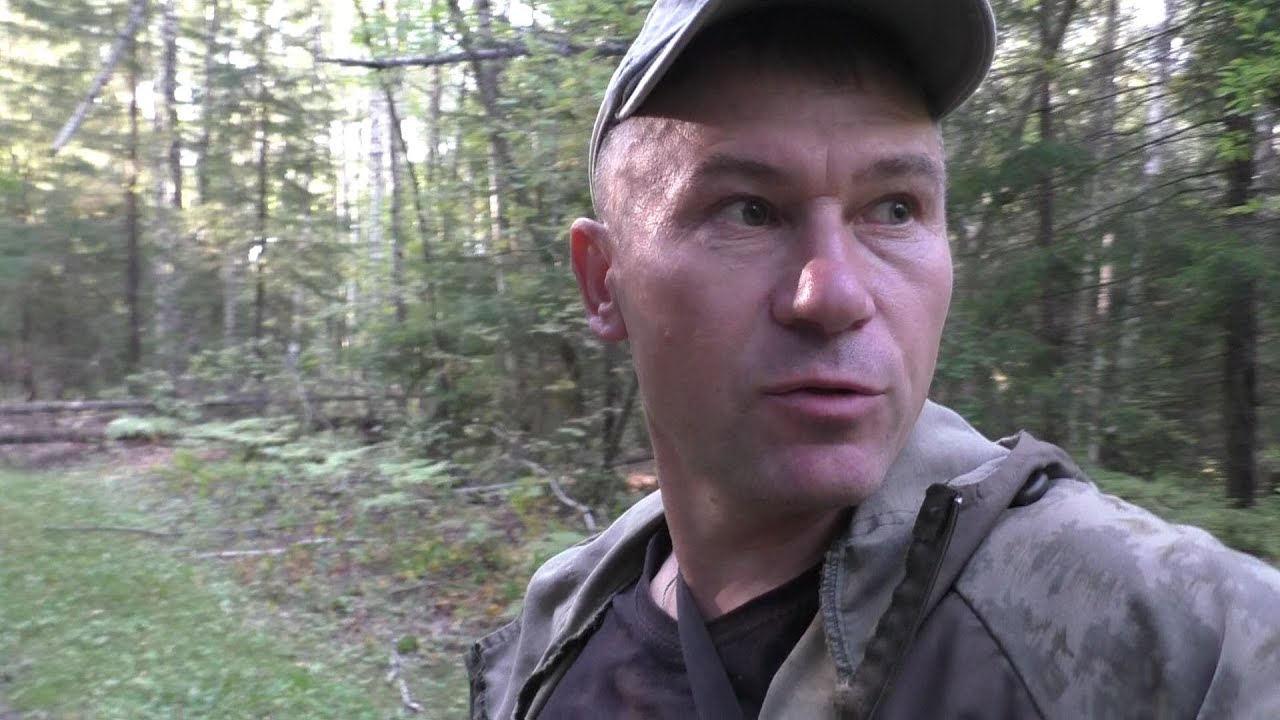 КТО ТО В ЛЕСУ! Пошёл в лес по грибы, а там треск кустов!