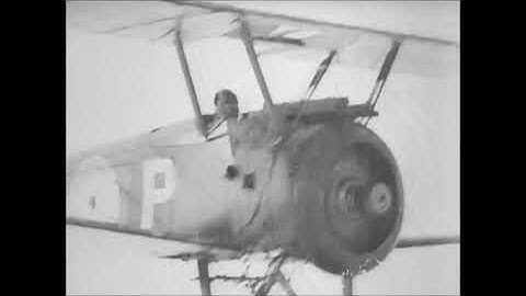 American Expeditionary Force Sopwith Camel (1918)