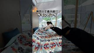 【丹沢】神奈川県最大級のグランピング！！！ #japanesefood #japantravel #vlog #travel