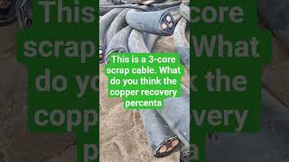 This is a 3-core scrap cable. What do you think the copper recovery percentage