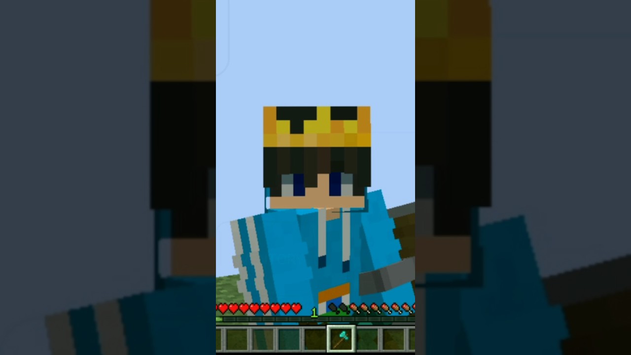 Side Shield mod for Java Download - YouTube