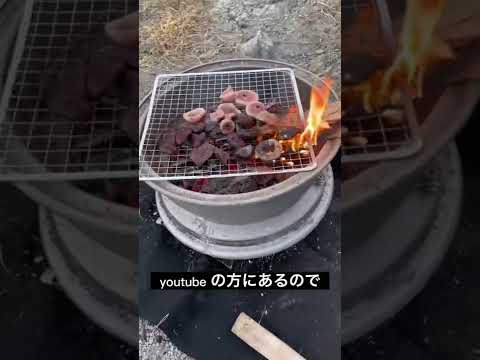 【ソロキャンプ】(閲覧注意)男飯でマグロの心臓(ハツ)食べたら。。。