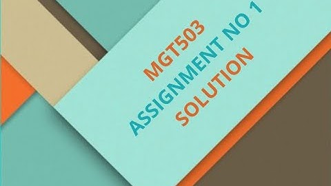 MGT503 Assignment 1 solution spring 2021