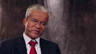 Gt Nexus Insights Network Supply And Demand Fulfillment Solutions