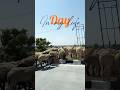 A little glimpse of my day..#momlife #travel #dailyvlog #viral #youtubeshorts