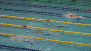 20170708_千葉県選手権_男子200mBr予選
