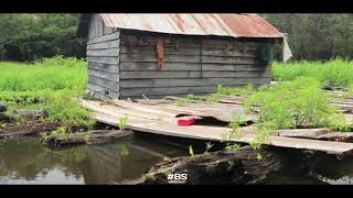 Casting Gabus Liar & Anak Toman