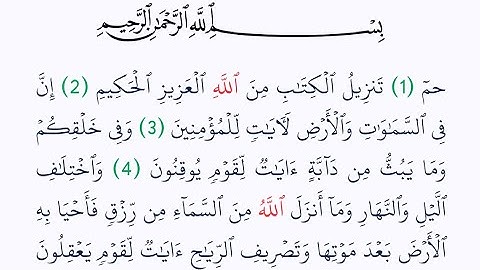 سورة الجاثية مكتوبة كاملة بصوت واضح و جميل 🤍 للقراءة والاستماع معا لختم القرآن الكريم في اقل وقت 🤍
