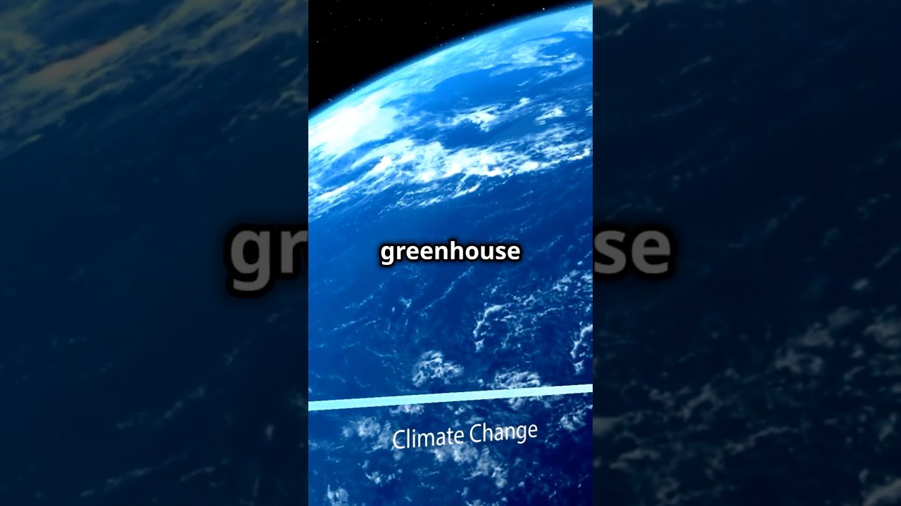 How Cows Impact Climate Change🌎 