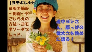 ヨモギレシピ ヨモギ摘み 用途 下ごしらえの方法 ヨモギソーダブレッド 途中ヨシさん 原っぱの偉大さを熱めに語る Yomogi Artemisia 009 Youtube