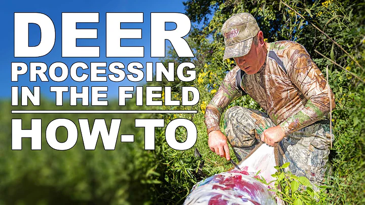 How to Process or Debone a Whitetail Deer in the Field