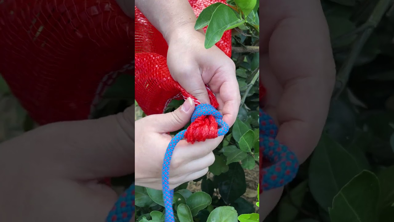 Необходимые узлы для кемпинга на открытом воздухе