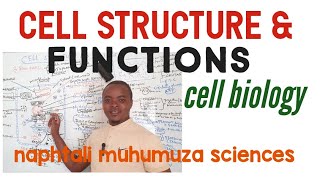 Cell structure and Functions | Cell biology