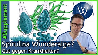 Sind Spirulina Algen gesund?