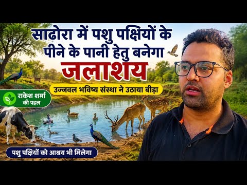 सढोरा मे पशु पक्षियों के पीने के पानी हेतू बनेगा जलाशय, उज्जवल भविष्य संस्था ने उठाया बीड़ा....