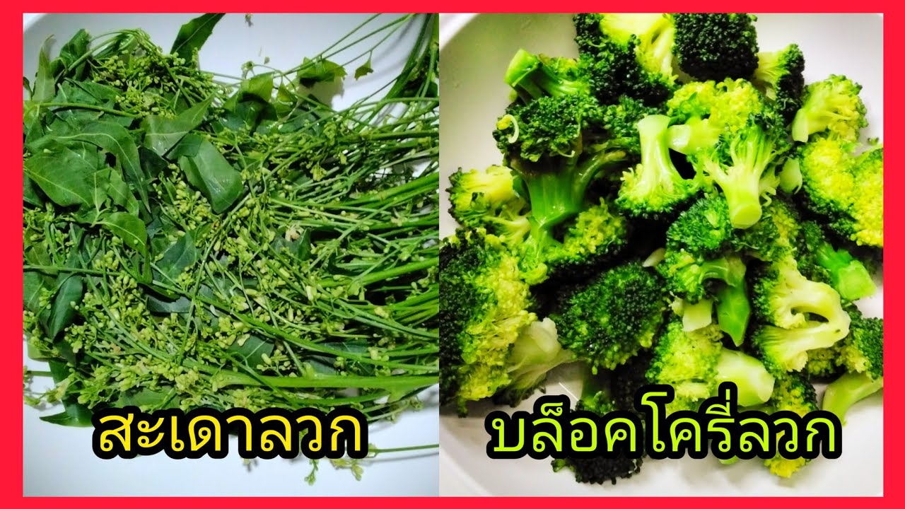 สะเดาลวกกับเทคนิคการลวกบล็อคโครี่ไว้ผัด