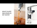 Remove Tannin From Your Water - Matrixx Tannin Removal System